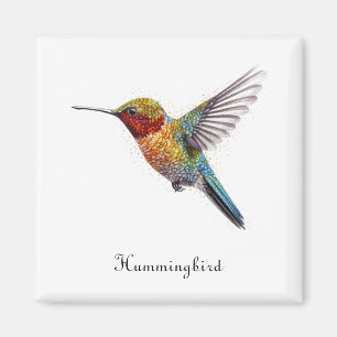 Aimant Ailes Arc-en-Ciel : Art vibrant de colibri, person