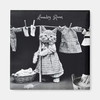 Aimant Aimant, Chat qui étend le linge