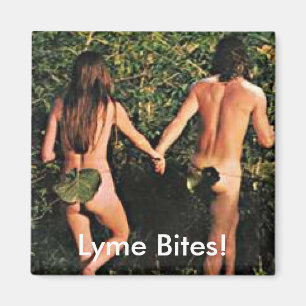 Aimant Aimant, conscience de coutil de la maladie de Lyme