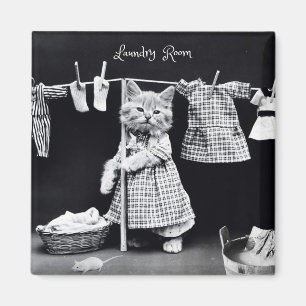 Aimant Aimant, Lave-linge à suspension de chat