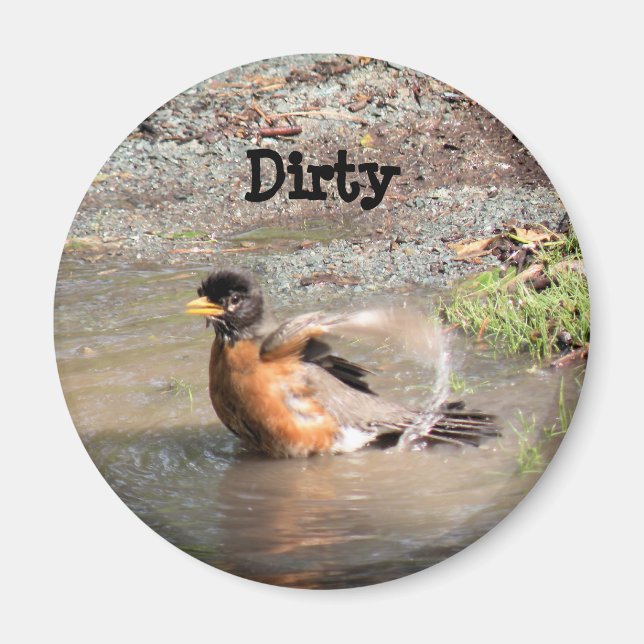 Aimant Aimant, Lave-vaisselle, Robin prenant un bain, Sal (Devant)