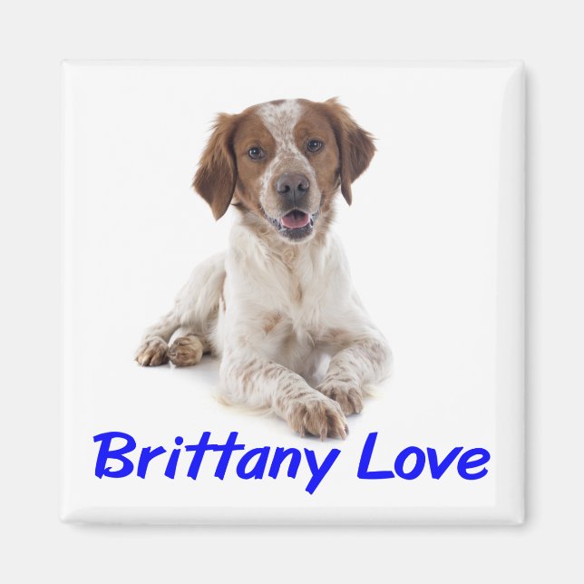 Aimant Aimer chiot Brittany Spaniel (Devant)