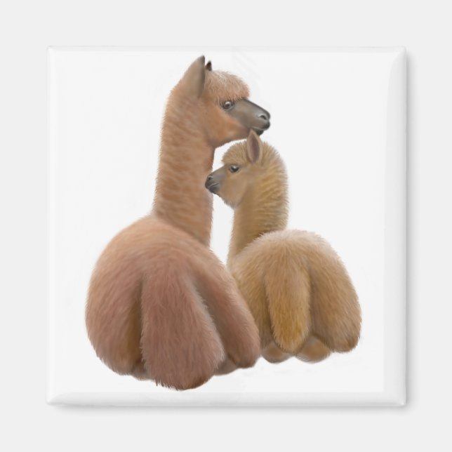 Aimant Aimer l'Alpaca (Devant)
