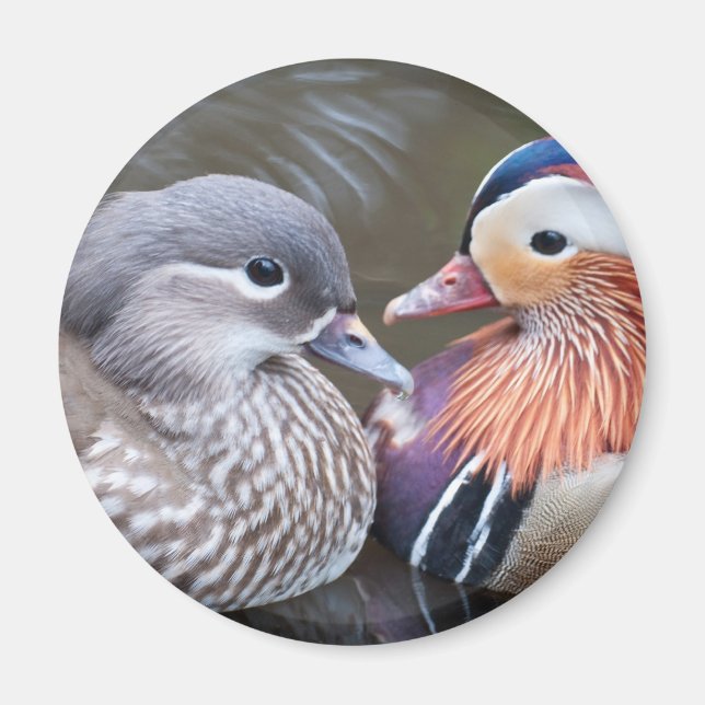 Aimant Aimer les canards (Devant)