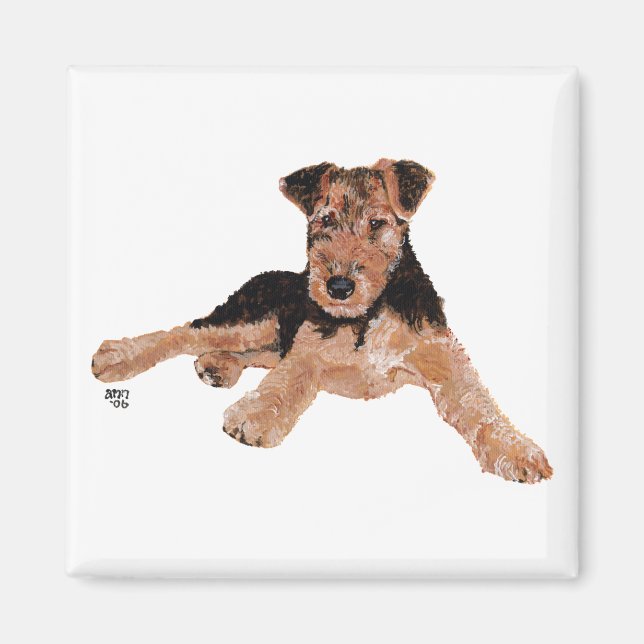 Aimant Airedale, Lakeland, Welsh Terrier Pup (Devant)
