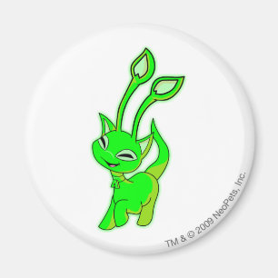 Aimant Aisha brillant