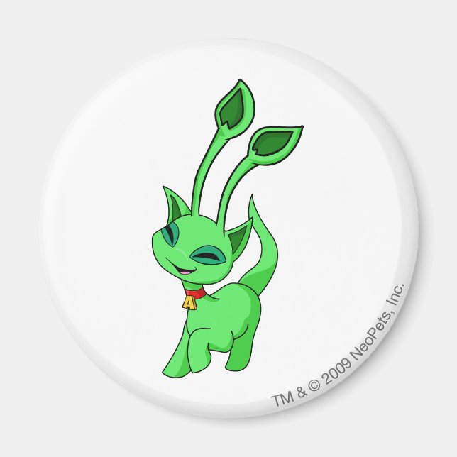 Aimant Aisha Green (Devant)