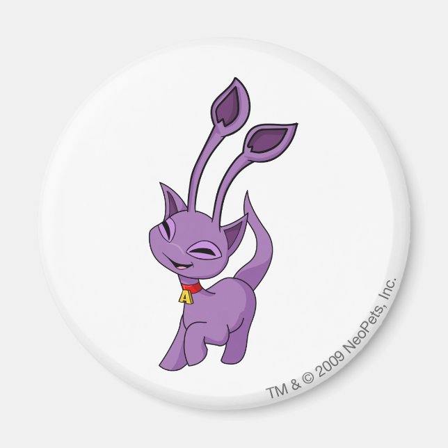 Aimant Aisha Purple (Devant)
