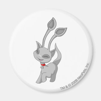 Aimant Aisha Silver
