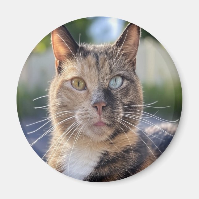 Aimant Ajouter une Personnaliser photo de chat (Devant)