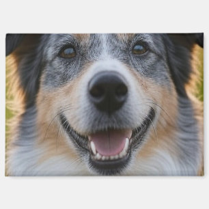 Aimant Ajouter une Personnaliser photo pour animaux domes