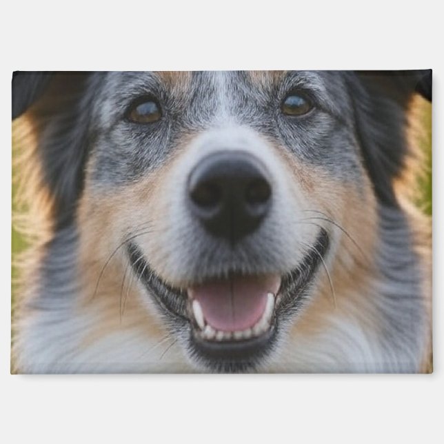 Aimant Ajouter une Personnaliser photo pour animaux domes (Recto)