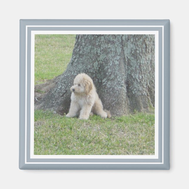 Aimant Ajoutez votre photo à Modern Farmhouse Bleu & Blan (Devant)