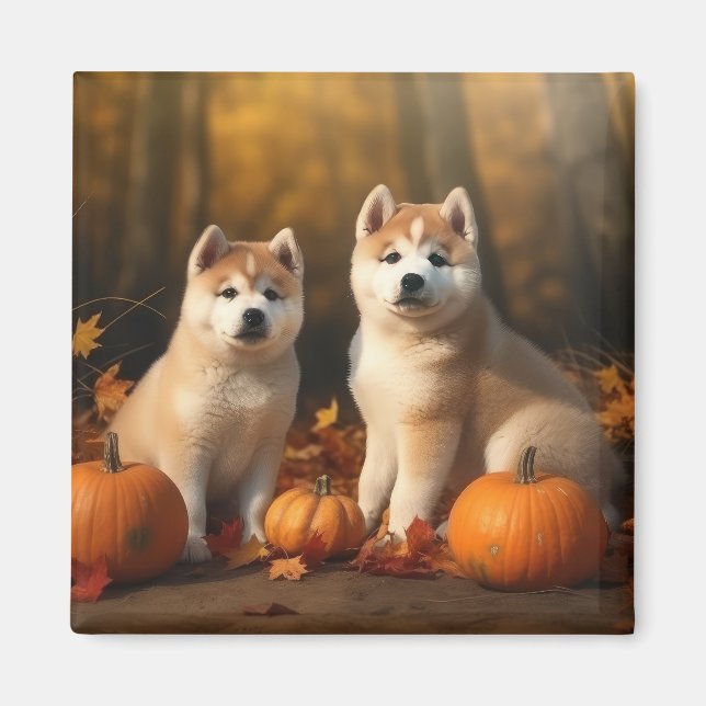 Aimant Akita Puppy Citrouille d'automne (Devant)