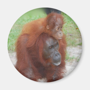 Aimant Akmad et Baby Boy