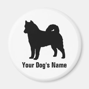 Aimant Alaskan Malamute ア vue partielle カ マ ・ ミ ュ ー train