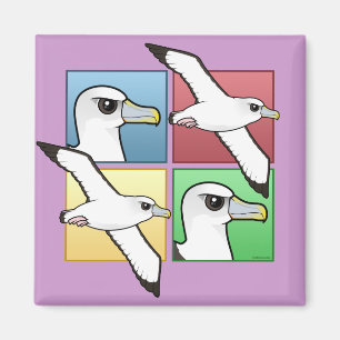 Aimant Albatros de quatre couleurs