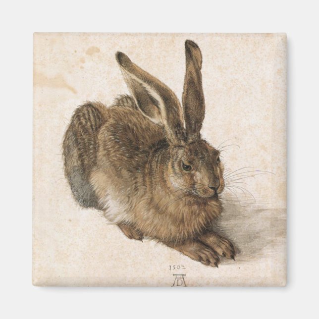 Aimant Albrecht Dürer - Junger Hase (Young Hare), 1502 (Devant)