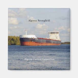 Aimant Algoma Strongfield