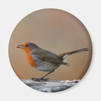 Aimant Alimentation de l'aimant Robin