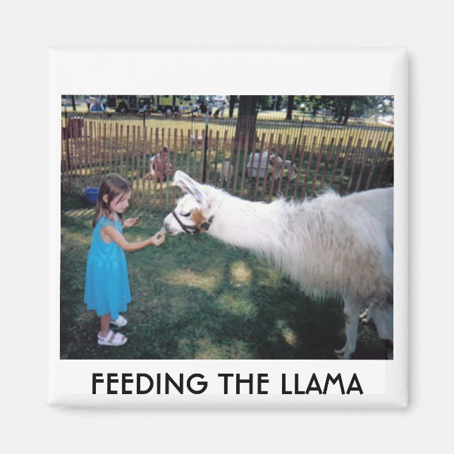 AIMANT ALIMENTER LA LAMA (Devant)