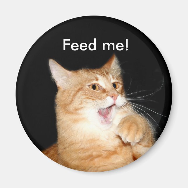 Aimant Alimenter l'aimant du chat (Devant)