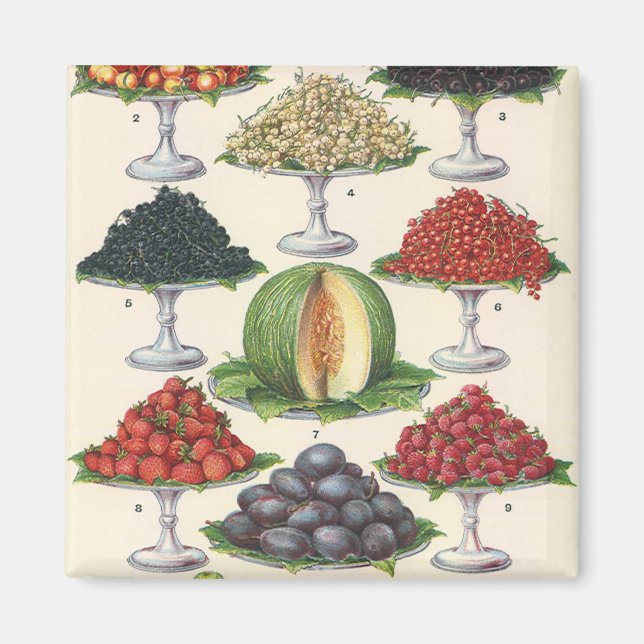 Aimant Aliments Anciens Fruits Assortis sur Plateaux pour (Devant)