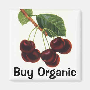 Aimant Aliments vintages de fruits, Cerises mûres d'un ar