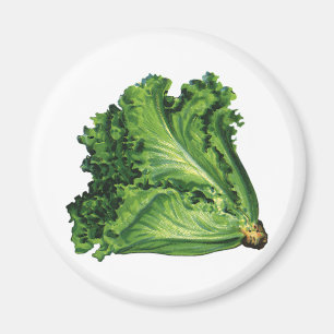 Aimant Aliments vintages, Légumes à la feuille verte
