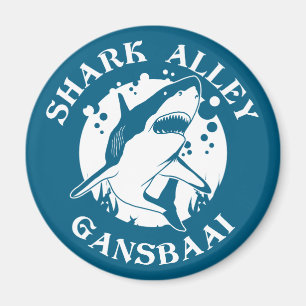 Aimant Allée de requin - Gansbaai   Plongée avec requin