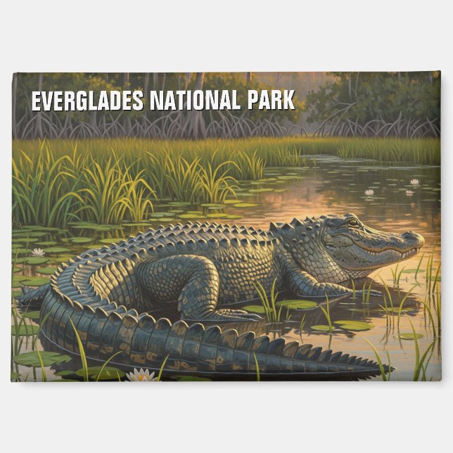 Aimant Alligator dans le Parc national des Everglades (Recto)