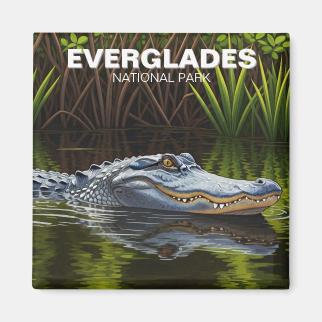 Aimant Alligator dans le Parc national des Everglades (Devant)