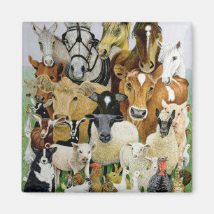 Aimant Allsorts animal