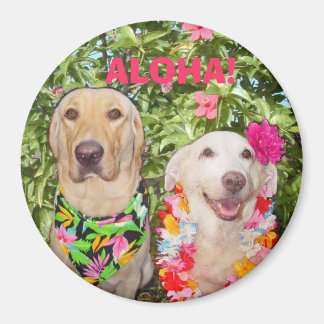 AIMANT ALOHA !
