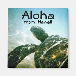 Aimant Aloha Hawaii