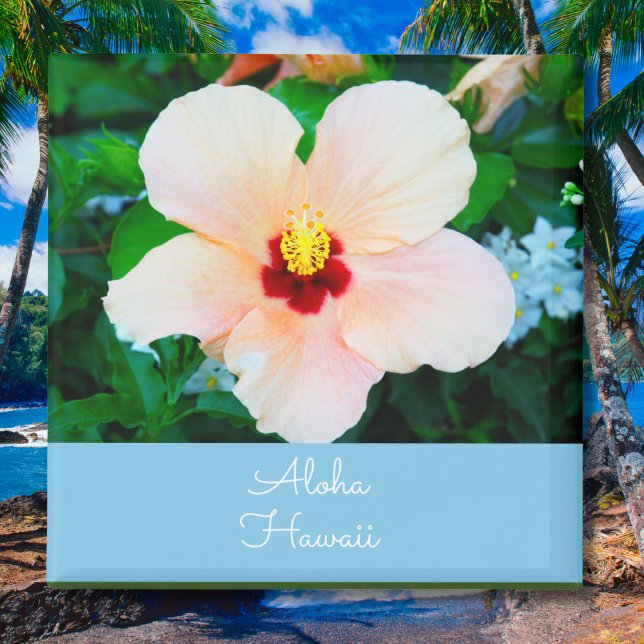 Aimant Aloha Hawaii Fleur de couleur pêche Fleur d'État H (Créateur téléchargé)