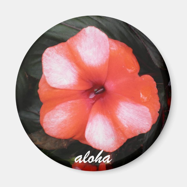 Aimant aloha rouge et blanc (Devant)