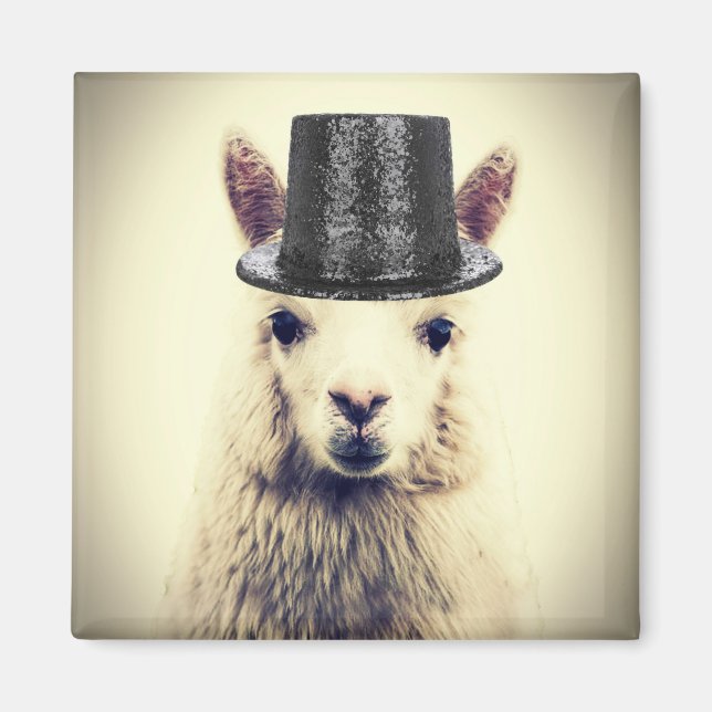 Aimant Alpaca avec un haut-de-forme (Devant)