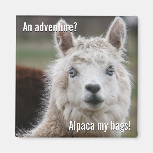 Aimant Alpaca Mes sacs pour l'aimant aventure (Devant)