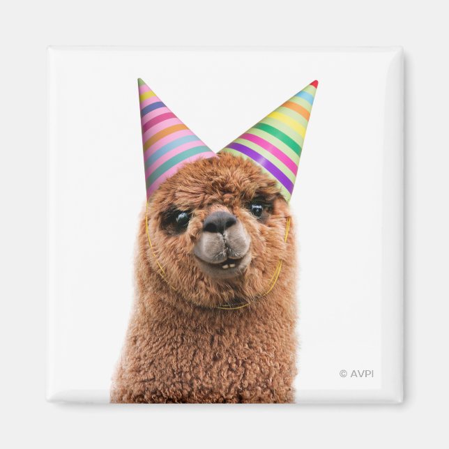 Aimant Alpaca Wearing Party Hats (Devant)