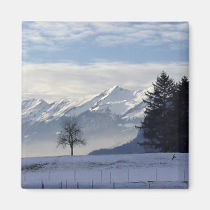 Aimant Alpes suisses