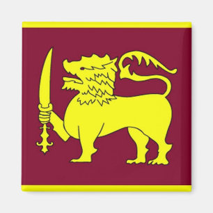 Aimant Amande de la bête jaune