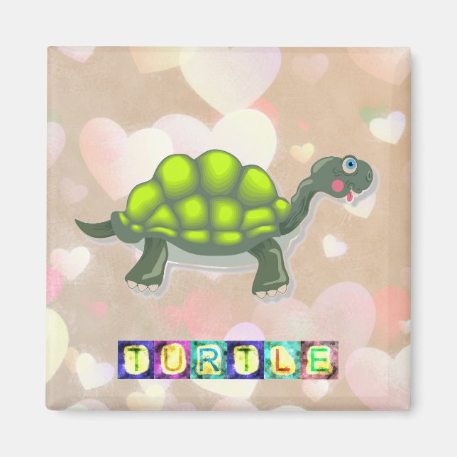 Aimant Amande de tortue (Devant)