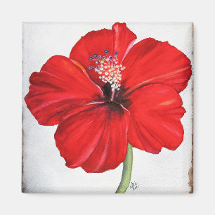 Aimant Amande d'hibiscus rouge