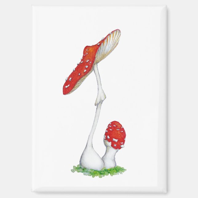 Aimant Amanita muscaria (Recto)
