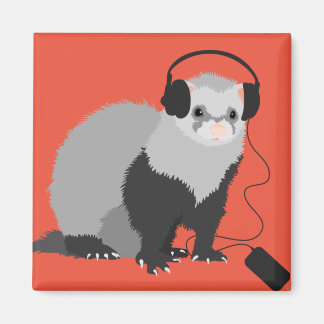 Aimant Amant Musique Drôle Ferret