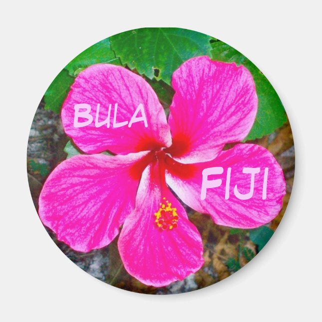 Aimant Amante à Habiscus rose (Devant)