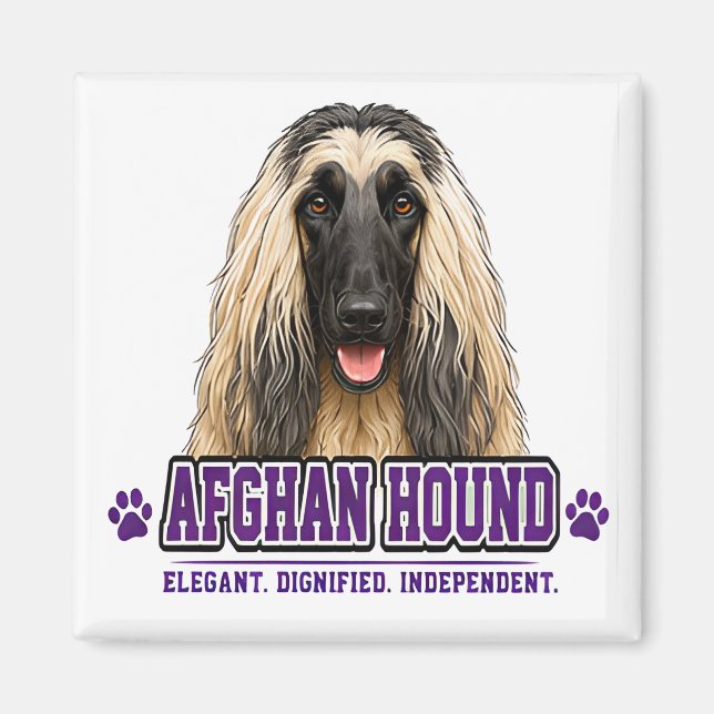 Aimant 🐾 Amateur de Lévrier Afghan 🐾 (Devant)