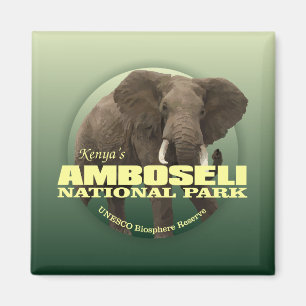 Aimant Amboseli NP (Eléphant africain) WT