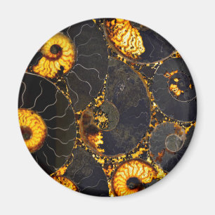 Aimant Ambre doré noir Nautilus motif, fossile